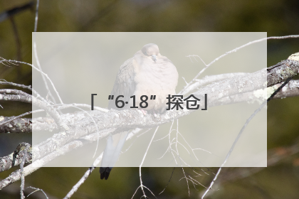 “6·18”探仓