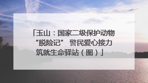 玉山：国家二级保护动物“脱险记” 警民爱心接力筑就生命驿站（图）