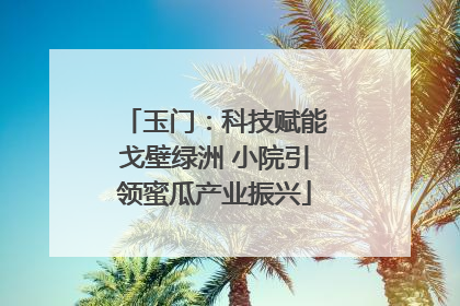 玉门：科技赋能戈壁绿洲 小院引领蜜瓜产业振兴