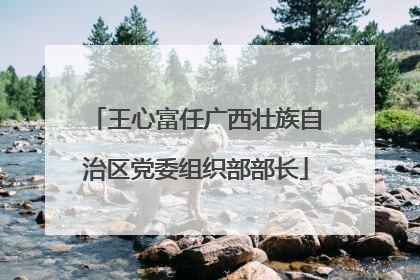 王心富任广西壮族自治区党委组织部部长