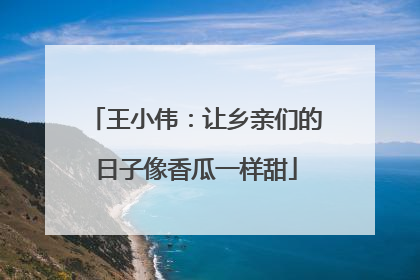 王小伟：让乡亲们的日子像香瓜一样甜
