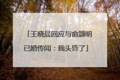 王晓晨回应与俞灏明已婚传闻：我头昏了