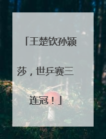 王楚钦孙颖莎，世乒赛三连冠！