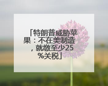 特朗普威胁苹果：不在美制造，就缴至少25%关税