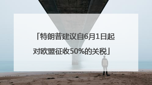特朗普建议自6月1日起对欧盟征收50%的关税