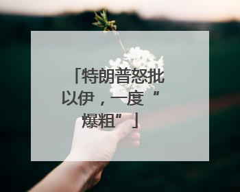 特朗普怒批以伊，一度“爆粗”