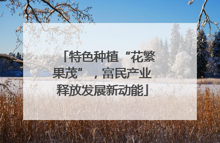 特色种植“花繁果茂”，富民产业释放发展新动能