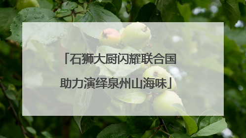 石狮大厨闪耀联合国 助力演绎泉州山海味