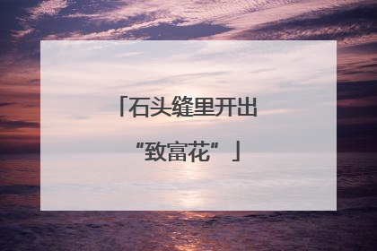石头缝里开出“致富花”