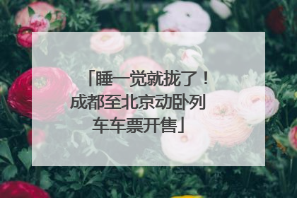 睡一觉就拢了！成都至北京动卧列车车票开售