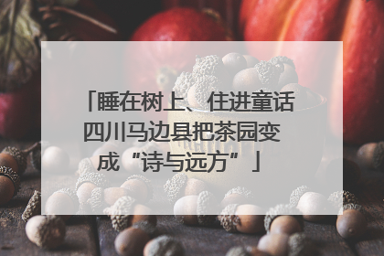 睡在树上、住进童话 四川马边县把茶园变成“诗与远方”