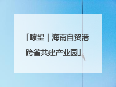 瞭望｜海南自贸港跨省共建产业园