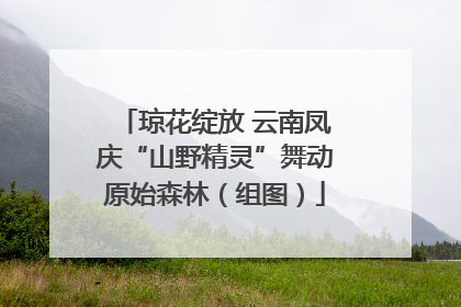 琼花绽放 云南凤庆“山野精灵”舞动原始森林（组图）