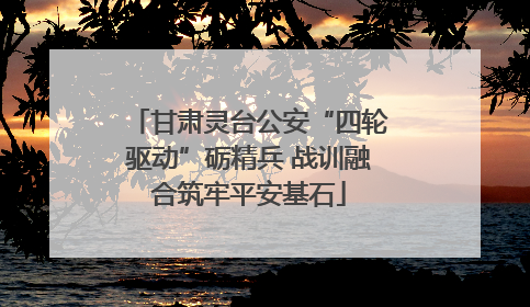 甘肃灵台公安“四轮驱动”砺精兵 战训融合筑牢平安基石