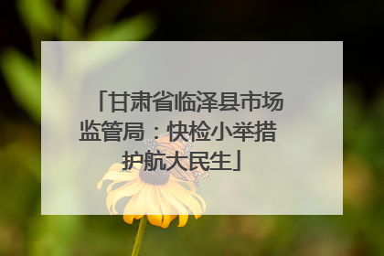 甘肃省临泽县市场监管局：快检小举措 护航大民生