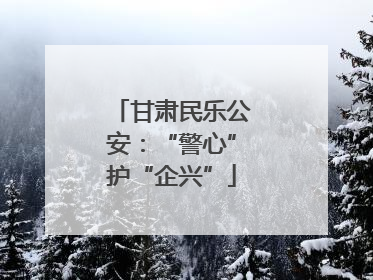 甘肃民乐公安：“警心”护“企兴”
