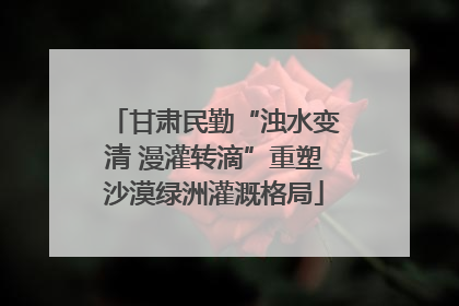 甘肃民勤“浊水变清 漫灌转滴”重塑沙漠绿洲灌溉格局