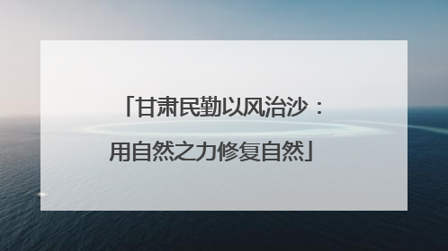 甘肃民勤以风治沙：用自然之力修复自然
