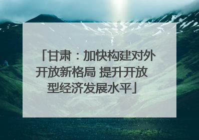 甘肃：加快构建对外开放新格局 提升开放型经济发展水平
