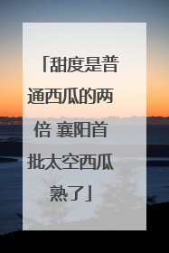 甜度是普通西瓜的两倍 襄阳首批太空西瓜熟了