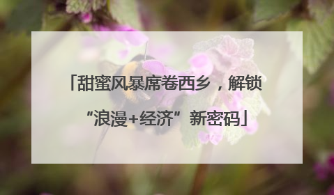 甜蜜风暴席卷西乡，解锁“浪漫+经济”新密码
