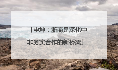 申坤：浙商是深化中非务实合作的新桥梁