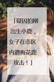 疑因拍刚出生小鹿，女子在市区内遭梅花鹿攻击！