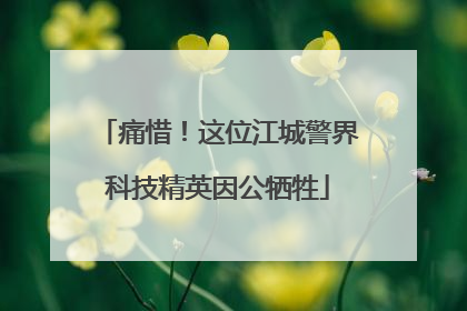 痛惜！这位江城警界科技精英因公牺牲