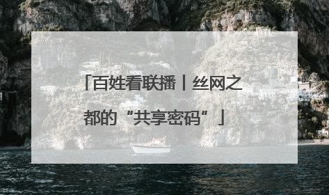 百姓看联播丨丝网之都的“共享密码”