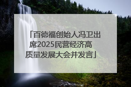 百德福创始人冯卫出席2025民营经济高质量发展大会并发言
