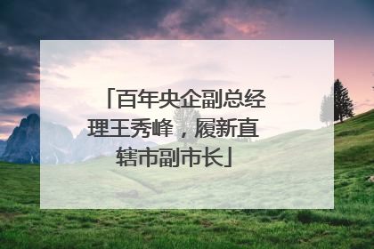 百年央企副总经理王秀峰，履新直辖市副市长
