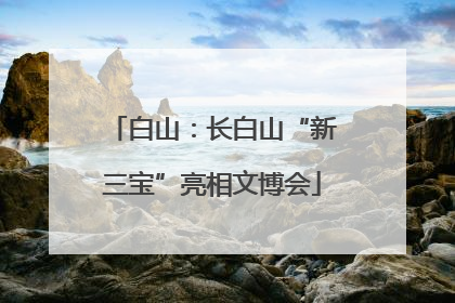 白山：长白山“新三宝”亮相文博会