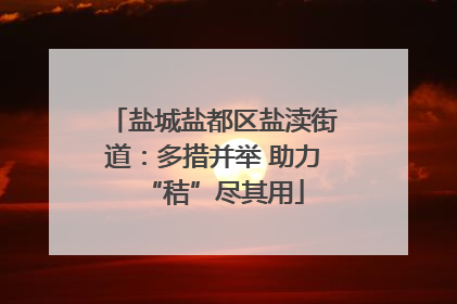 盐城盐都区盐渎街道：多措并举 助力“秸”尽其用