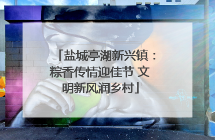 盐城亭湖新兴镇：粽香传情迎佳节 文明新风润乡村