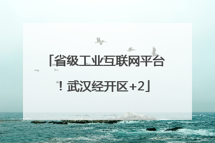 省级工业互联网平台！武汉经开区+2