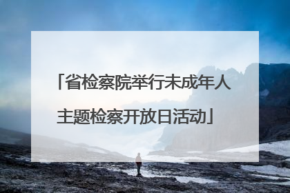省检察院举行未成年人主题检察开放日活动