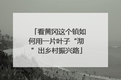 看黄冈这个镇如何用一片叶子“沏”出乡村振兴路