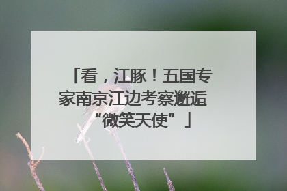 看，江豚！五国专家南京江边考察邂逅“微笑天使”