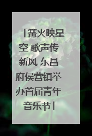 篝火映星空 歌声传新风 东昌府侯营镇举办首届青年音乐节
