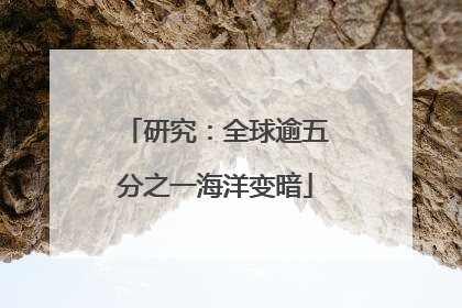 研究：全球逾五分之一海洋变暗