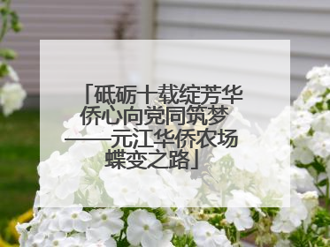 砥砺十载绽芳华 侨心向党同筑梦——元江华侨农场蝶变之路