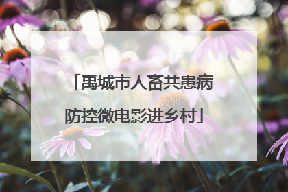 禹城市人畜共患病防控微电影进乡村