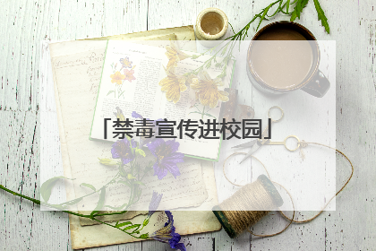 禁毒宣传进校园