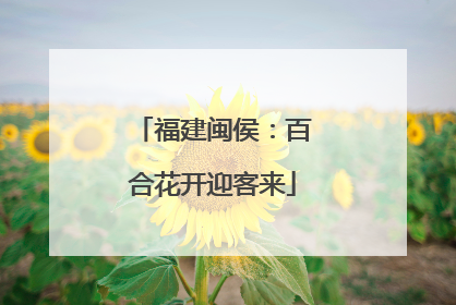 福建闽侯：百合花开迎客来