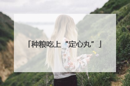 种粮吃上“定心丸”