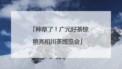 种草了！广元好茶惊艳亮相川茶博览会