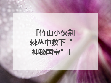 竹山小伙荆棘丛中救下“神秘国宝”