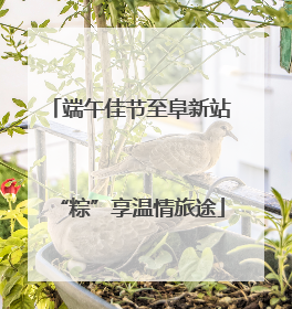 端午佳节至阜新站“粽”享温情旅途