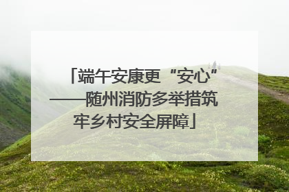 端午安康更“安心”——随州消防多举措筑牢乡村安全屏障