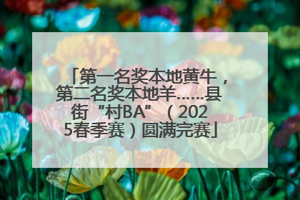 第一名奖本地黄牛，第二名奖本地羊……县街“村BA”（2025春季赛）圆满完赛